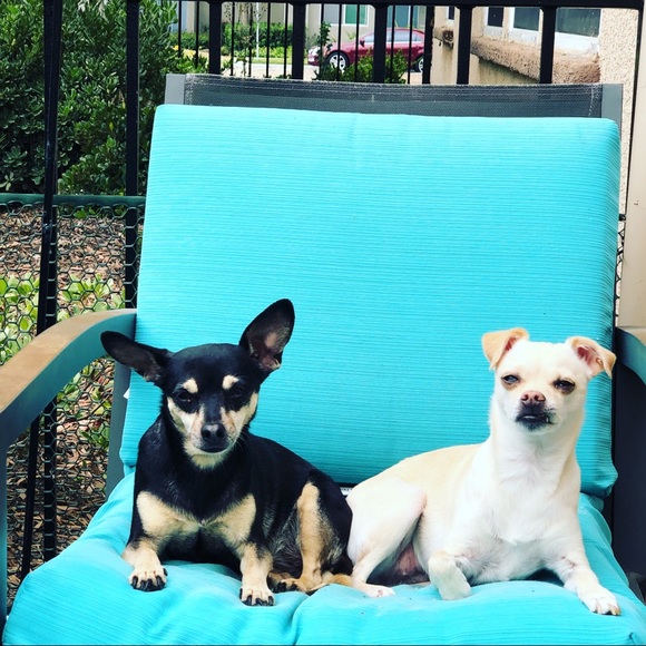 Not for sale 🤪 - Picture 2 of 6